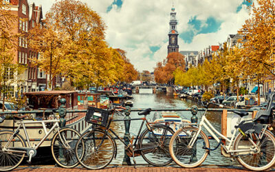 Navigating the Netherlands: your all-inclusive guide to public transport and driving